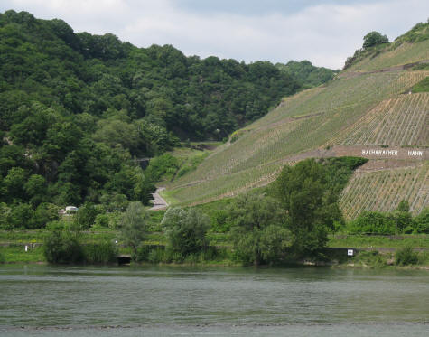 Bacharach Wines - Germany