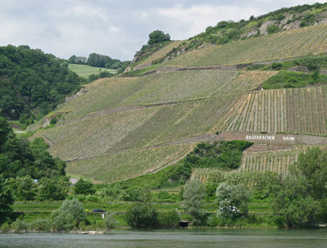 Bacharach Germany Tourism