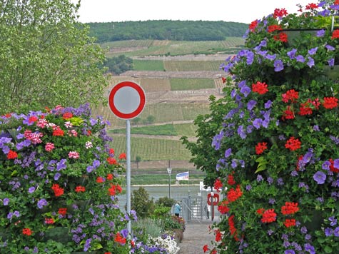Rhine Valley Information