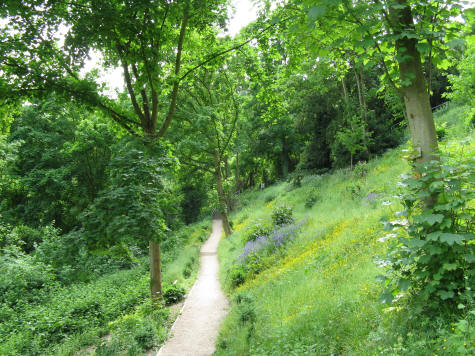 Trail to Rheinfels Castle from St. Goar Germany
